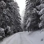 Appartement Zentrale Und Gemuetliche In Nah An Der Winterberg