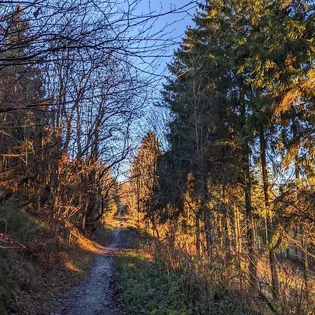 Apartmán Zentrale Und Gemuetliche In Nah An Der