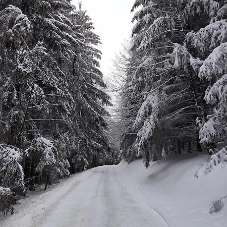 Apartment Zentrale Und Gemütliche In Nah An Der Winterberg