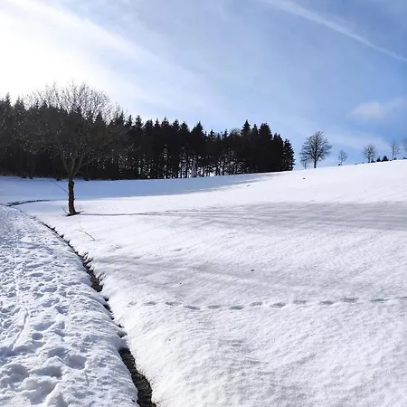 Zentrale Und Gemütliche In Nah An Der Apartment Winterberg