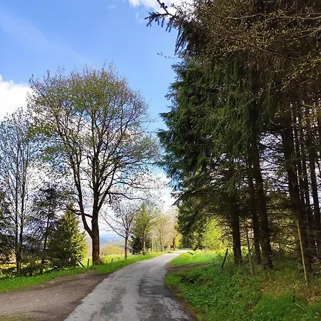 Apartment Zentrale Und Gemuetliche In Nah An Der *