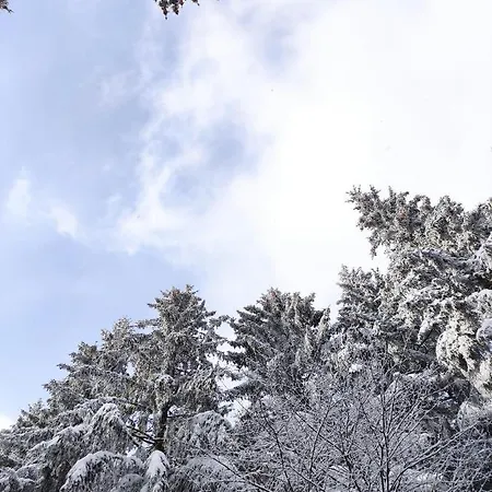 Apartment Zentrale Und Gemütliche In Nah An Der *