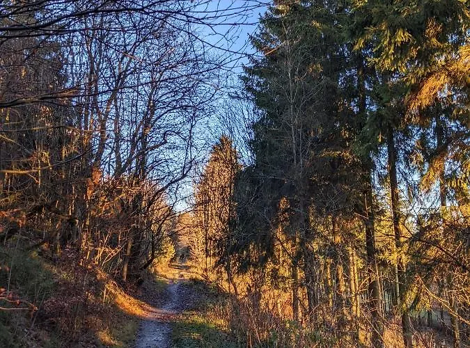 Apartment Zentrale Und Gemuetliche In Nah An Der