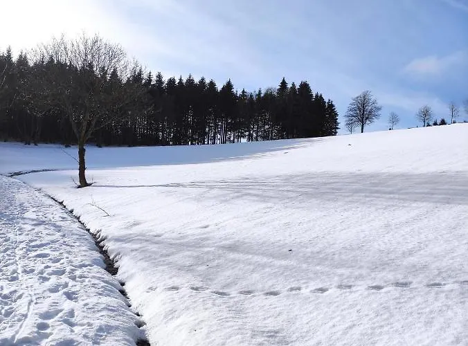 Zentrale Und Gemuetliche In Nah An Der Appartement Winterberg