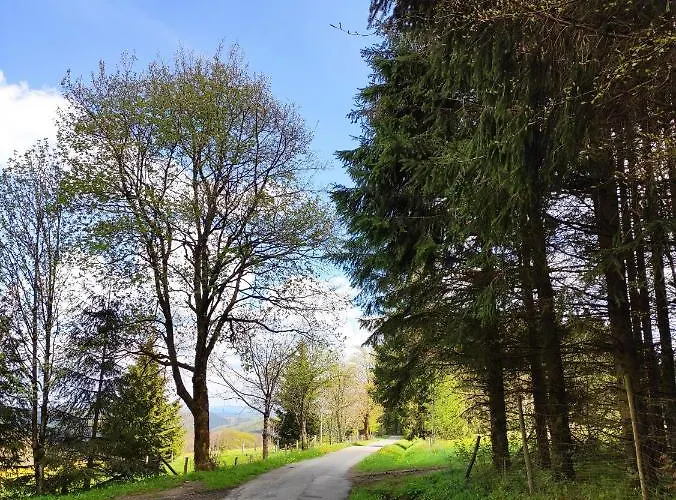 Apartment Zentrale Und Gemuetliche In Nah An Der *