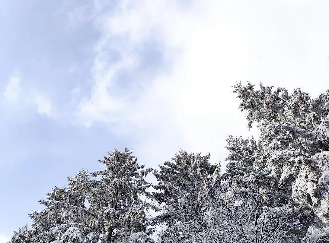 Appartement Zentrale Und Gemuetliche In Nah An Der *